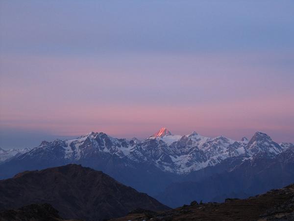 Pauri